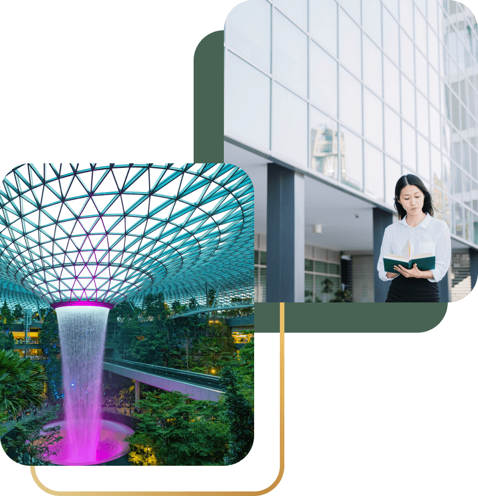 Singapore Citizenship Application Icon