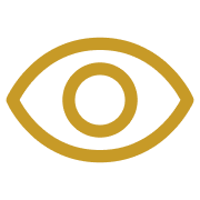 Our Vision Icon